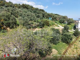 Οικόπεδο 2.000 τ.μ. για πώληση, Μεσσηνία, Αίπεια-thumb-33