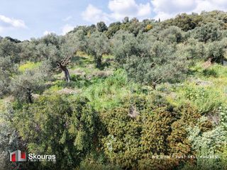 Οικόπεδο 2.000 τ.μ. για πώληση, Μεσσηνία, Αίπεια-thumb-35