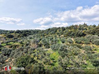 Οικόπεδο 2.000 τ.μ. για πώληση, Μεσσηνία, Αίπεια-thumb-15