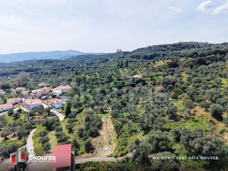 Οικόπεδο 2.000 τ.μ. για πώληση, Μεσσηνία, Αίπεια-thumb-19