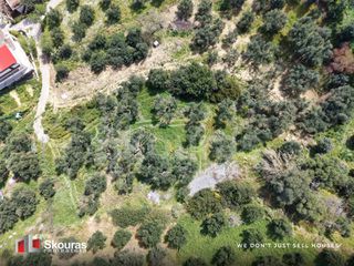 Οικόπεδο 2.000 τ.μ. για πώληση, Μεσσηνία, Αίπεια-thumb-24