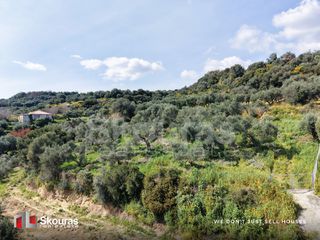 Οικόπεδο 2.000 τ.μ. για πώληση, Μεσσηνία, Αίπεια-thumb-36