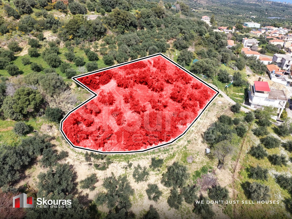 Οικόπεδο 2.000 τ.μ. προς πώληση, Λογγά Αίπειας