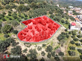 Οικόπεδο 2.000 τ.μ. για πώληση, Μεσσηνία, Αίπεια-thumb-1