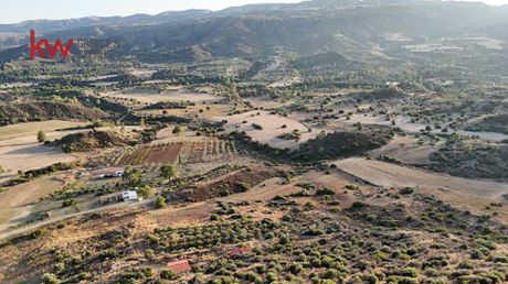 Αγροτεμάχια 8.696τ.μ. για πώληση-