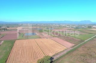 Αγροτεμάχια 8.870 τ.μ. για πώληση, Μεσσηνία, Καλαμάτα-thumb-11