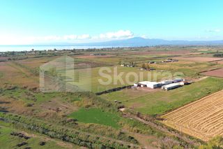 Αγροτεμάχια 8.870 τ.μ. για πώληση