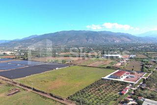Αγροτεμάχια 8.870 τ.μ. για πώληση, Μεσσηνία, Καλαμάτα-thumb-1