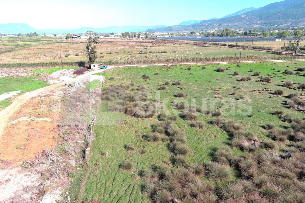 Αγροτεμάχια 8.870 τ.μ. προς πώληση, Καλαμάτα