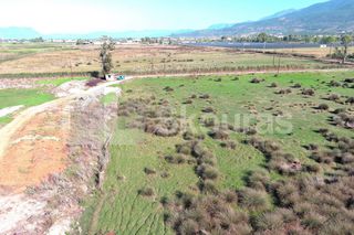 Αγροτεμάχια 8.870 τ.μ. για πώληση, Μεσσηνία, Καλαμάτα-thumb-3