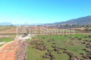 Αγροτεμάχια 8.870 τ.μ. για πώληση, Μεσσηνία, Καλαμάτα-thumb-14