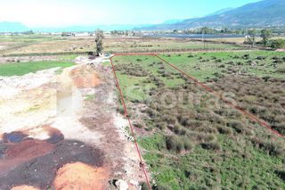 Αγροτεμάχια 8.870 τ.μ. για πώληση, Μεσσηνία, Καλαμάτα-thumb-2