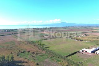 Αγροτεμάχια 8.870 τ.μ. για πώληση, Μεσσηνία, Καλαμάτα-thumb-10
