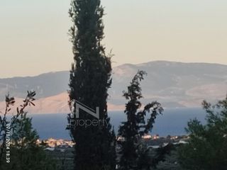 Βίλλα 500 τ.μ. για πώληση, Κορινθία, Βέλο-thumb-6
