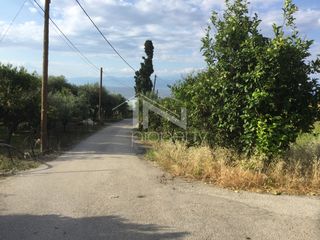 Οικόπεδο 415 τ.μ. για πώληση, Κορινθία, Ευρωστίνη-thumb-1