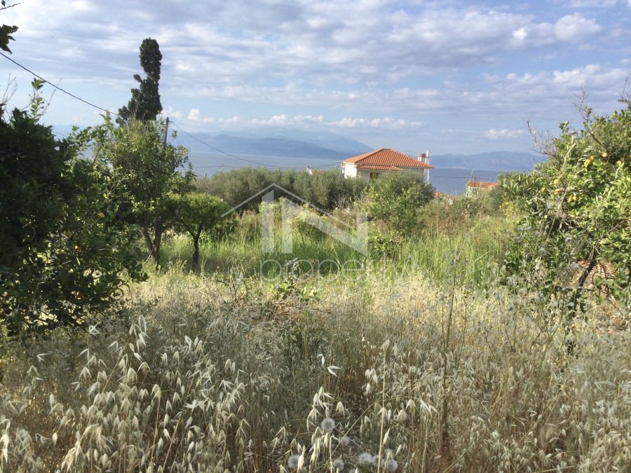 Οικόπεδο 415 τ.μ. για πώληση, Κορινθία, Ευρωστίνη
