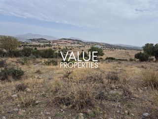 Οικόπεδο 1.813 τ.μ. προς πώληση, Σπάτα-thumb-4