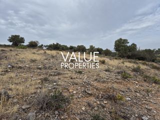 Οικόπεδο 1.813 τ.μ. προς πώληση, Σπάτα-thumb-1