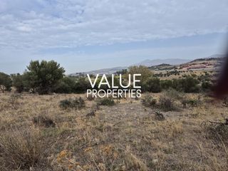 Οικόπεδο 1.813 τ.μ. προς πώληση, Σπάτα-thumb-2