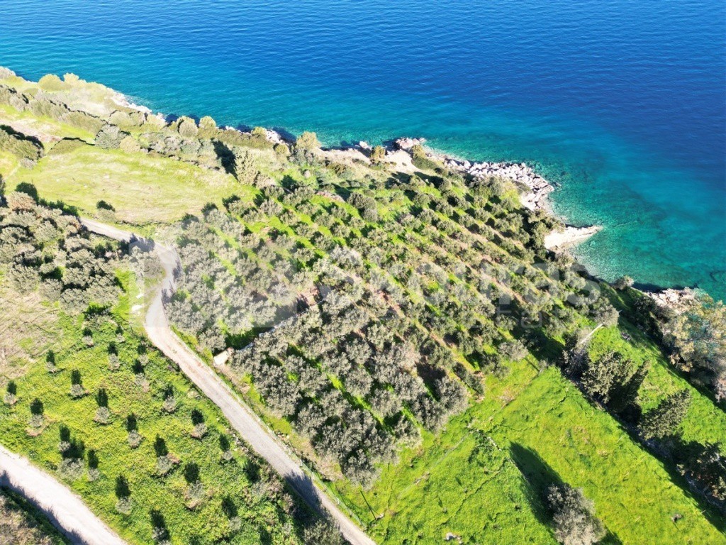 Αγροτεμάχια 7.180 τ.μ. προς πώληση, Καλλονή Τροιζήνας