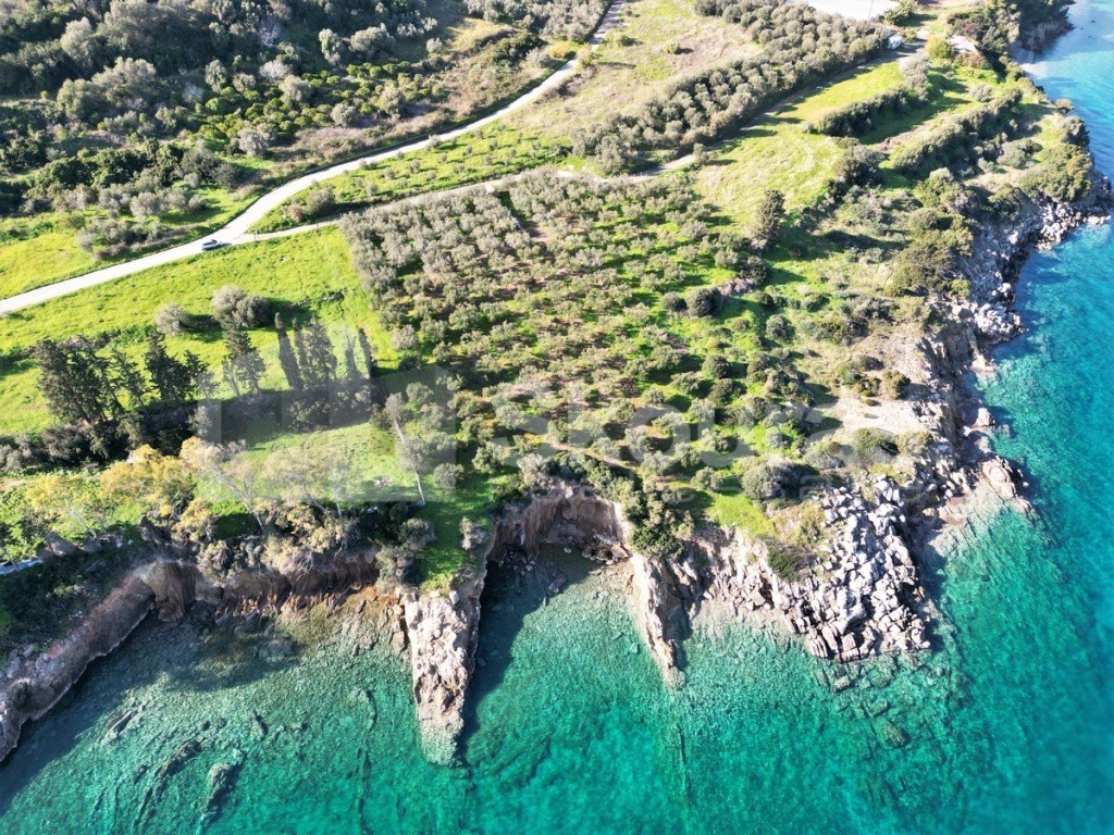 Αγροτεμάχια 7.180 τ.μ. προς πώληση, Καλλονή Τροιζήνας