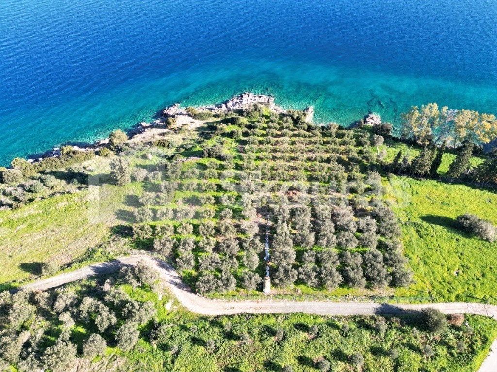 Αγροτεμάχια 7.180 τ.μ. προς πώληση, Καλλονή Τροιζήνας