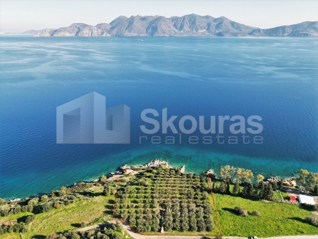 Αγροτεμάχια 7.180 τ.μ. προς πώληση, Καλλονή Τροιζήνας