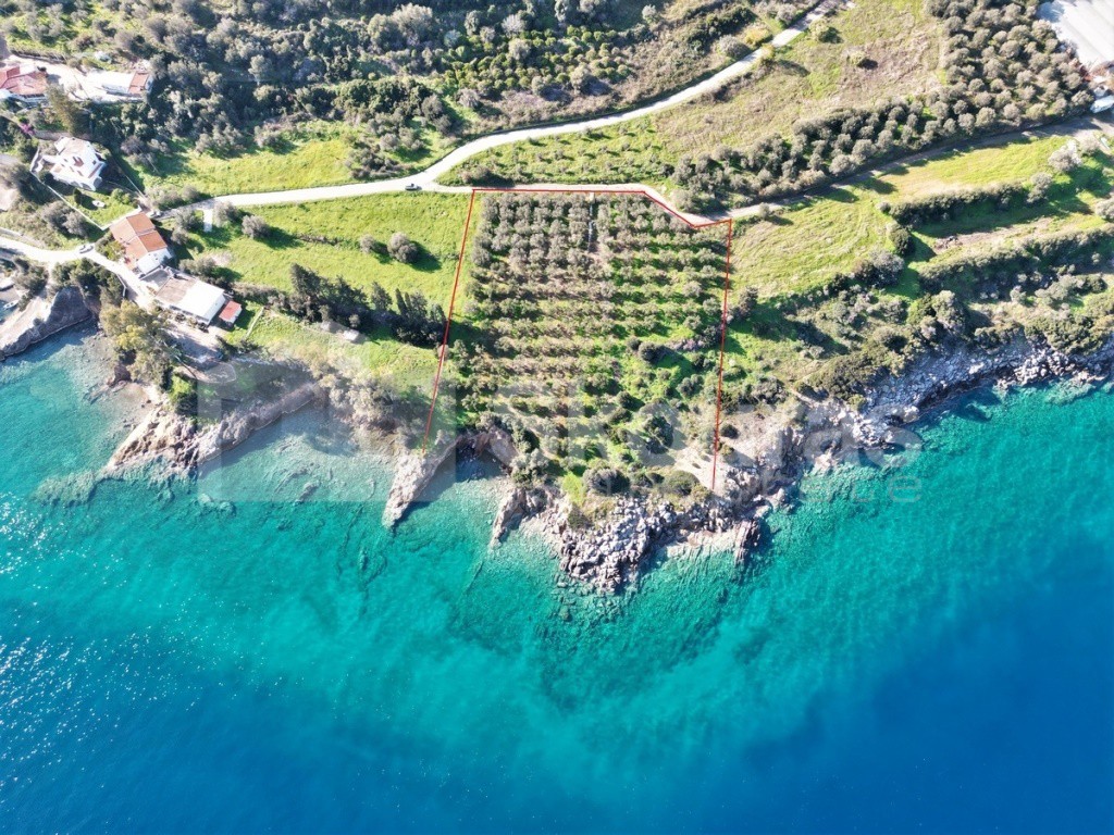 Αγροτεμάχια 7.180 τ.μ. προς πώληση, Καλλονή Τροιζήνας