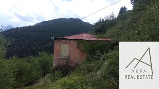Οικόπεδο 266 τ.μ. για πώληση, Ευρυτανία, Προυσός-thumb-17