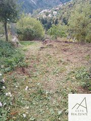Οικόπεδο 266 τ.μ. για πώληση, Ευρυτανία, Προυσός-thumb-28