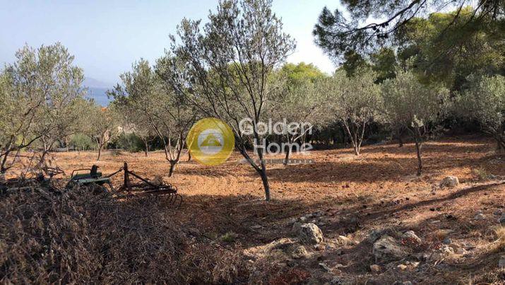 Οικόπεδο 12.445 τ.μ. πρός πώληση, Αργολίδα, Ερμιόνη