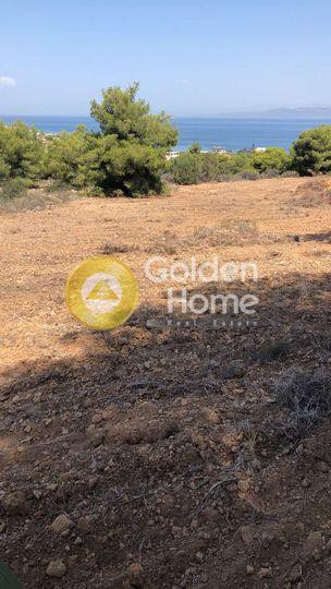 Οικόπεδο 12.445 τ.μ. πρός πώληση, Αργολίδα, Ερμιόνη