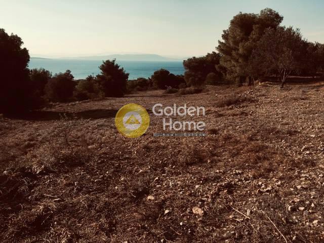 Οικόπεδο 12.445 τ.μ. πρός πώληση, Αργολίδα, Ερμιόνη