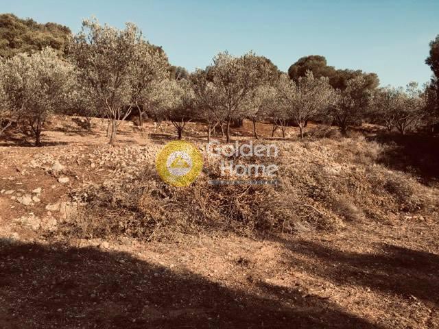 Οικόπεδο 12.445 τ.μ. πρός πώληση, Αργολίδα, Ερμιόνη