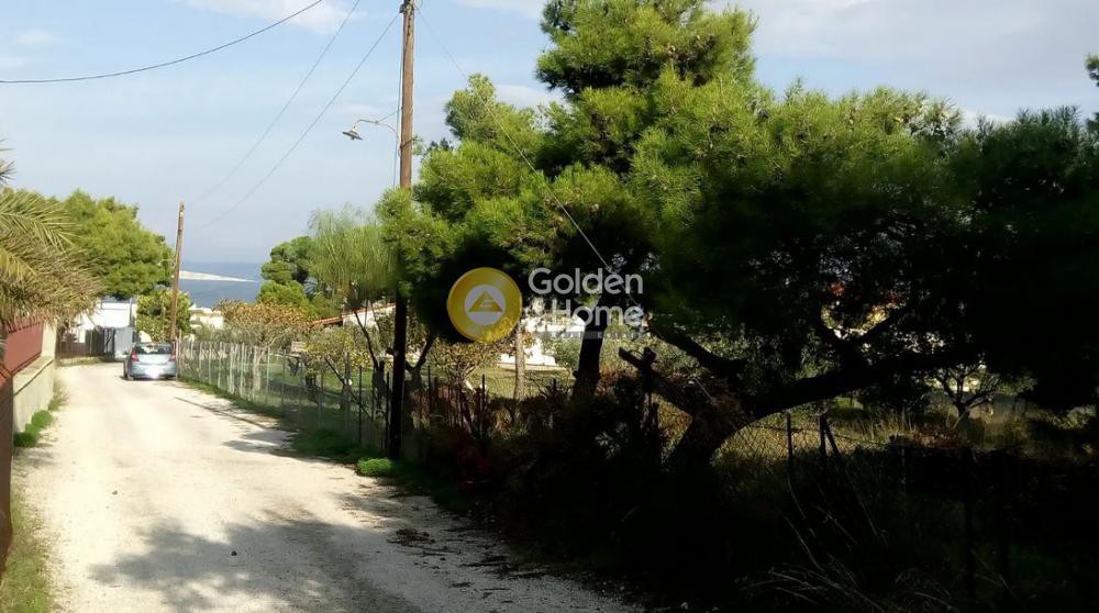 Οικόπεδο 1.400 τ.μ. πρός πώληση, Νησιά Αργοσαρωνικού, Αίγινα