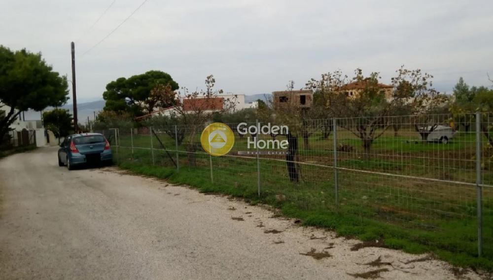Οικόπεδο 1.400 τ.μ. πρός πώληση, Νησιά Αργοσαρωνικού, Αίγινα