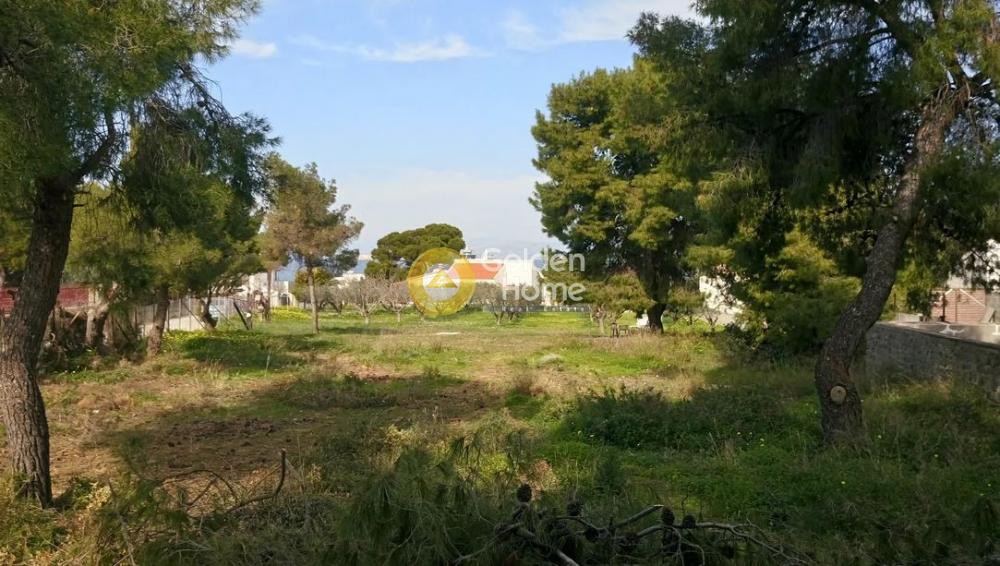 Οικόπεδο 1.400 τ.μ. πρός πώληση, Νησιά Αργοσαρωνικού, Αίγινα