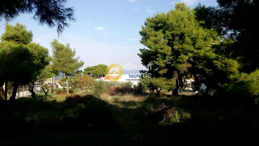 Οικόπεδο 1.400 τ.μ. πρός πώληση, Νησιά Αργοσαρωνικού, Αίγινα