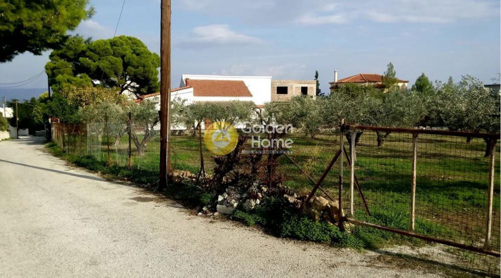 Οικόπεδο 1.400 τ.μ. πρός πώληση, Νησιά Αργοσαρωνικού, Αίγινα