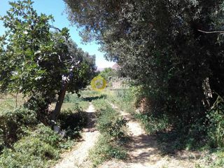 Μονοκατοικία 62 τ.μ. για πώληση, Ν. Λέσβου, Λέσβος - Ερεσός-thumb-2