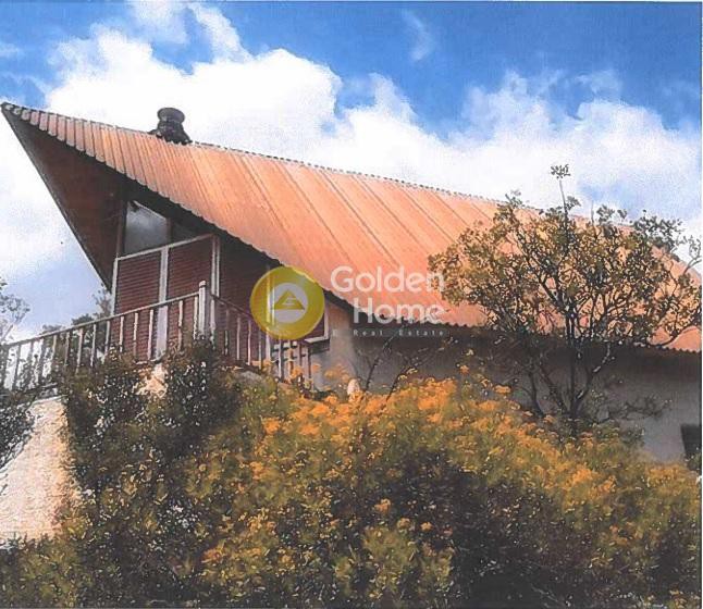 Διαμέρισμα 110 τ.μ. για πώληση, Αρκαδία, Λεωνίδιο