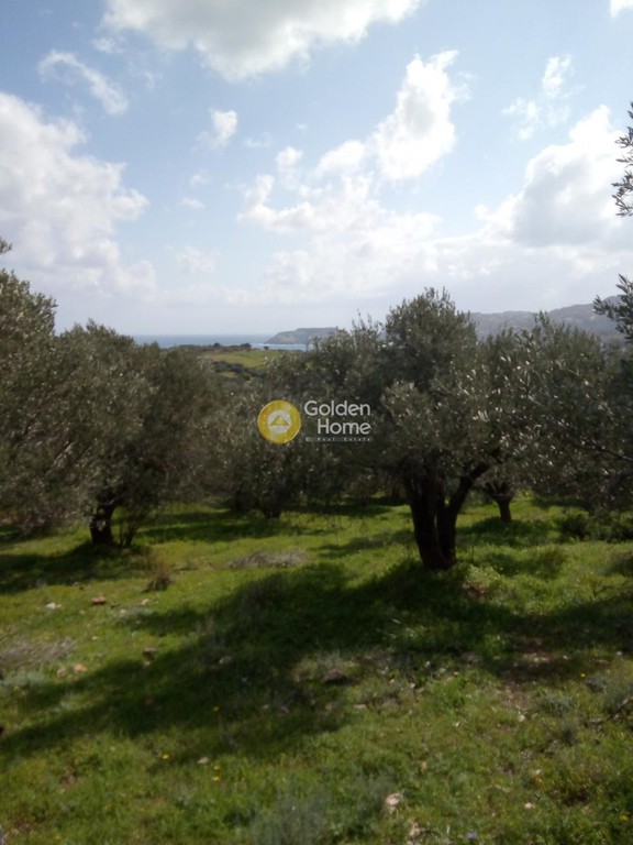 Οικόπεδο 6.500 τ.μ. πρός πώληση, Ν. Ηρακλείου, Γάζι