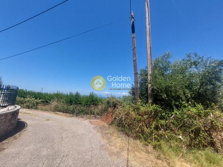 Οικόπεδο 5.556 τ.μ. για πώληση