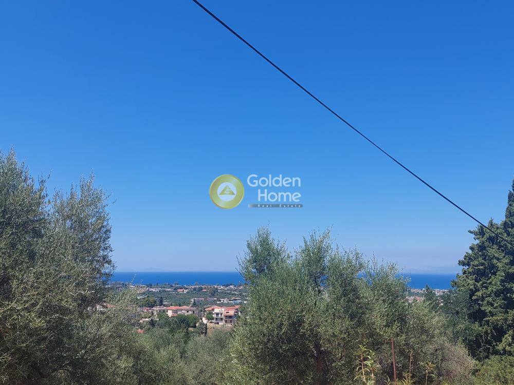 Οικόπεδο 5.556 τ.μ. προς πώληση, Αχαΐα, Μεσσατίδα