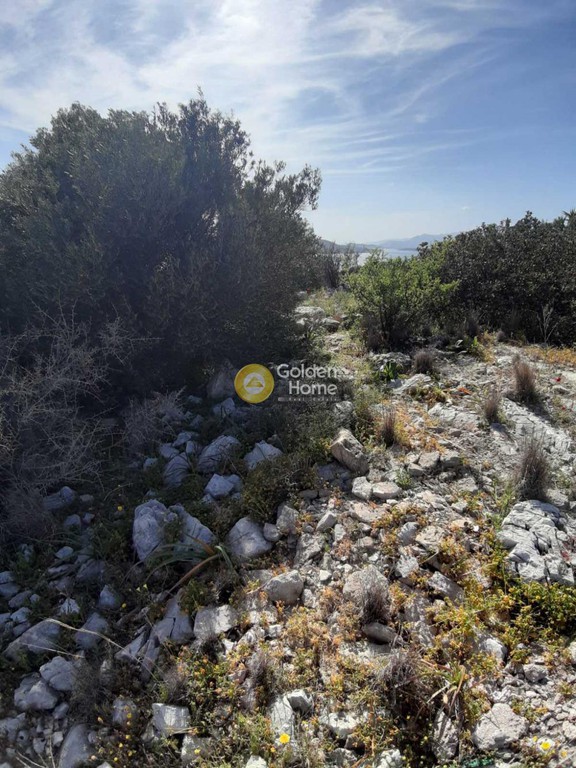 Αγροτεμάχια 287 τ.μ. προς πώληση, Νησιά Αργοσαρωνικού, Σαλαμίνα