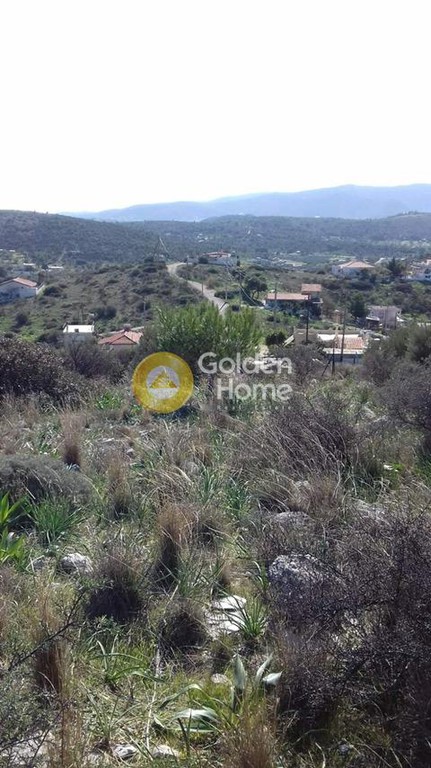 Αγροτεμάχια 287 τ.μ. προς πώληση, Νησιά Αργοσαρωνικού, Σαλαμίνα