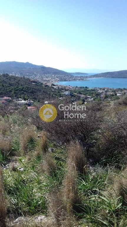 Αγροτεμάχια 287 τ.μ. προς πώληση, Νησιά Αργοσαρωνικού, Σαλαμίνα