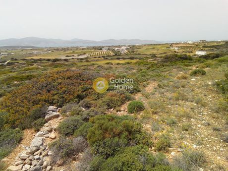 Αγροτεμάχια 5.399τ.μ. για πώληση-Πάρος » Αγκαιριά