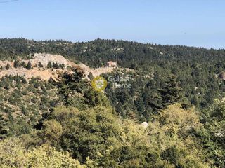 Διαμέρισμα 42 τ.μ. για πώληση, Αρκαδία, Κοσμάς-thumb-5