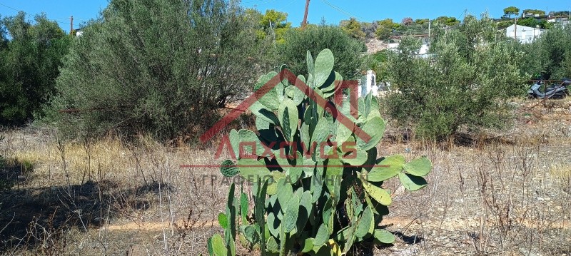 Οικόπεδο 208 τ.μ. πρός πώληση, Νησιά Αργοσαρωνικού, Σαλαμίνα